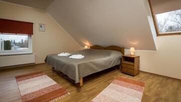 Фото номера Двухместный номер Делюкс с 1 кроватью Мини-отель Sangaste Rukki Maja Guesthouse г. Сангасте 6